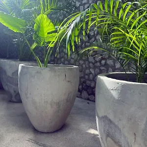 **** Hotel Bau México
